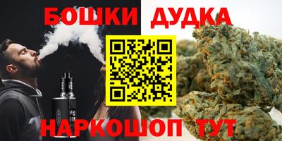 мдпв Пушкино