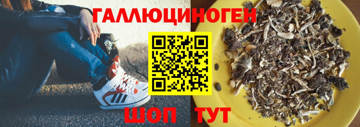 Псилоцибиновые грибы Magic Shrooms  Вход с VPN  Белая Калитва 